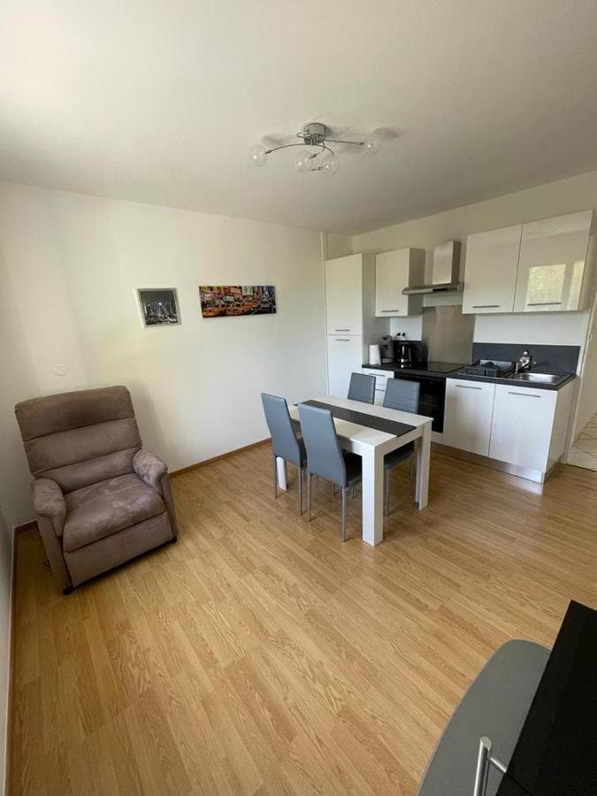 Le Domaine Des Libellules Proche Walibi Appartement Corbelin