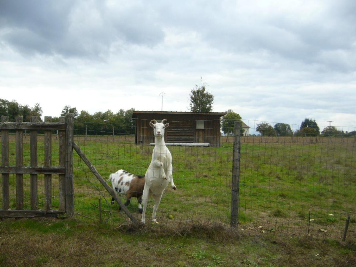 Le Domaine Des Libellules Proche Walibi Appartement *